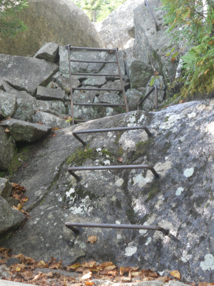 Rungs and Ladder (Credit: National Park Service)