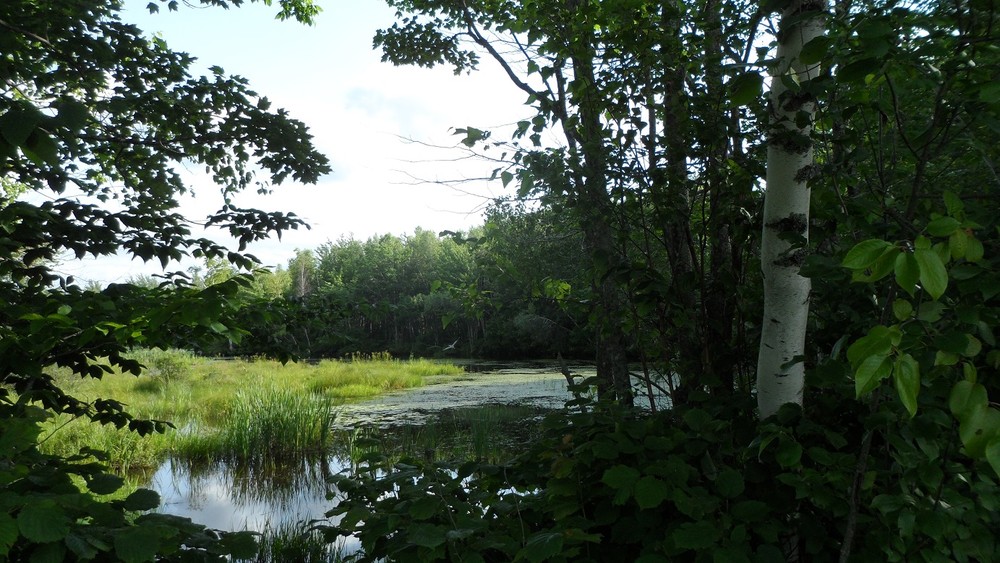 Foothills Land Conservancy Maine Trail Finder