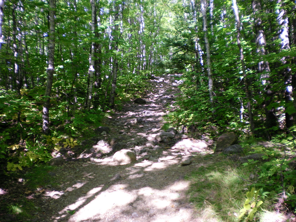 Brook Trail - It starts off easy... (Credit: Chris Nason)