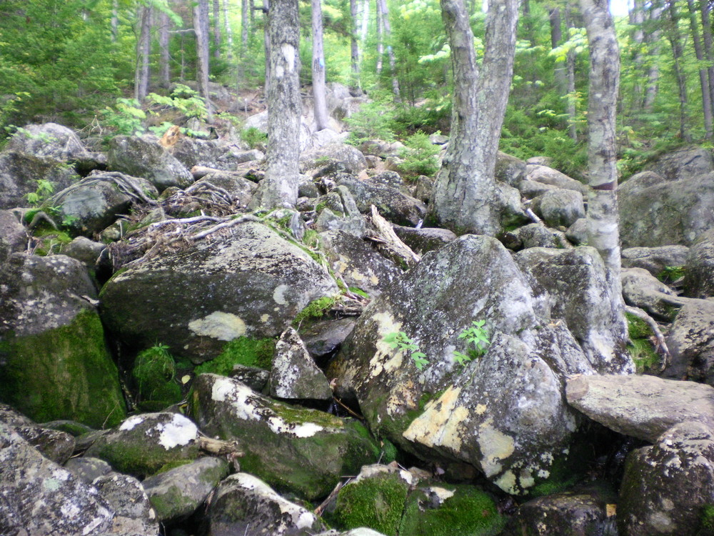 Brook Trail - Start scrambling over those rocks! (Credit: Chris Nason)