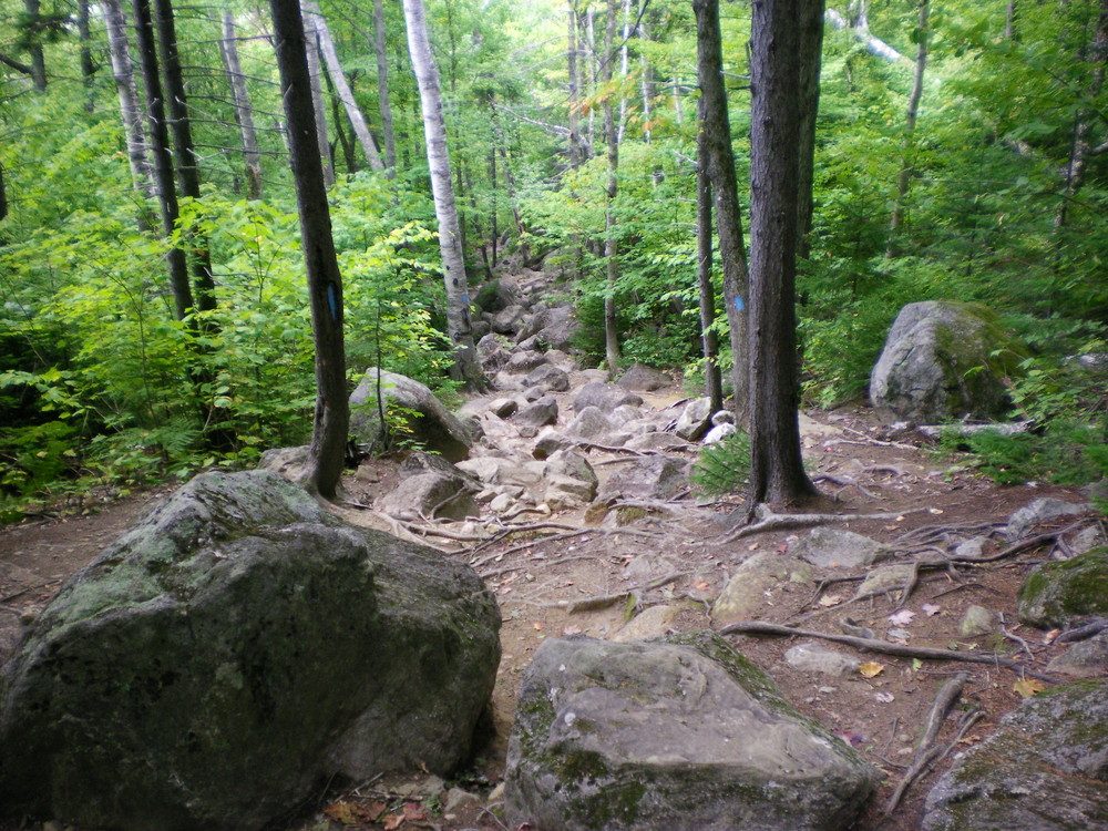Brook Trail - Looking down the trail. (Credit: Chris Nason)