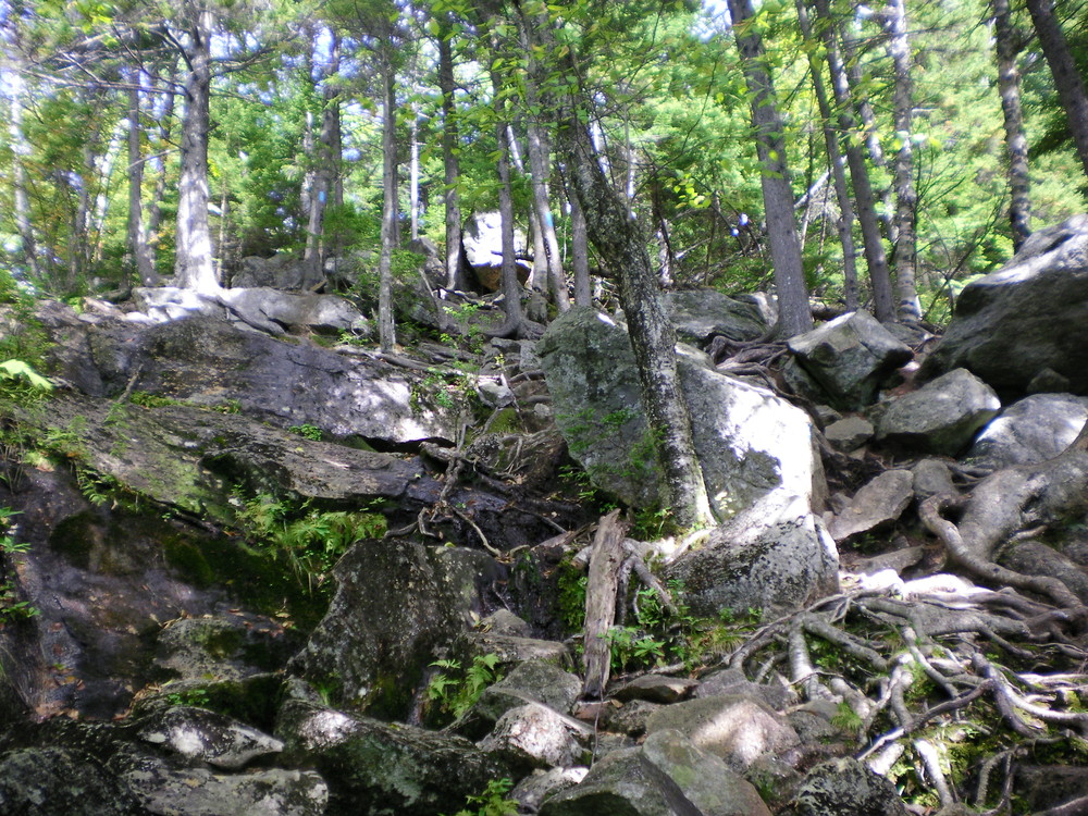 Brook Trail - Keep Climbing. (Credit: Chris Nason)