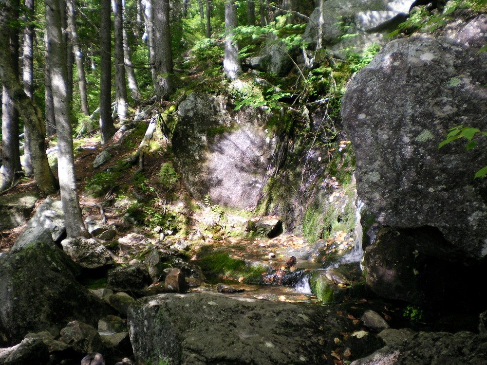 Brook Trail - Small waterfall in a little alcove near the trail. (Credit: Chris Nason)
