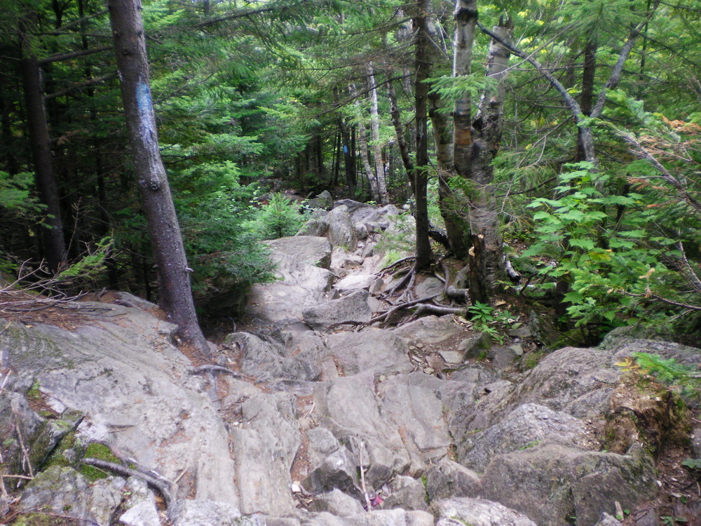 Brook Trail - Watch your step on the way back down. (Credit: Chris Nason)