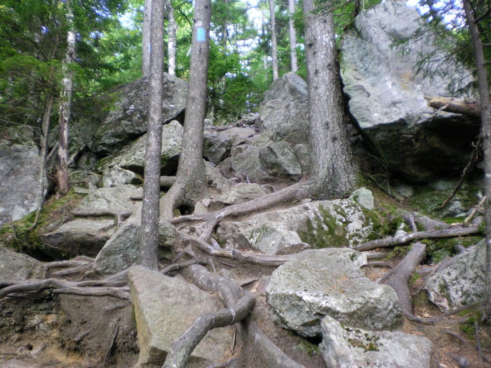 Brook Trail - Just watch your step and mind the rocks and roots. (Credit: Chris Nason)