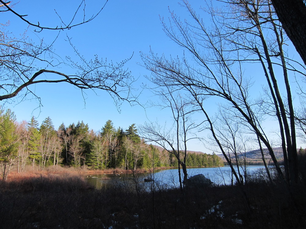 Watson Pond from Sanders Hill trail (Credit: M. Morris)