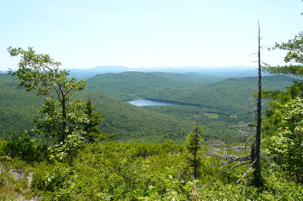 Shell Pond from Blueberry Mountain (Credit: White Mountain National Forest)