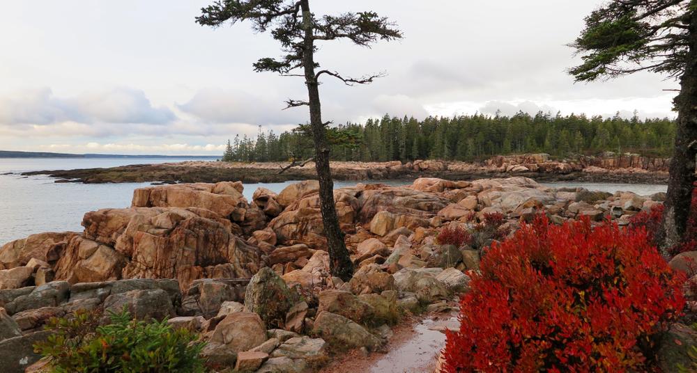 Acadia National Park - Ship Harbor Trail - Maine Trail Finder