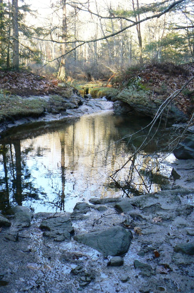 Spirit Pond and McDonald Sanctuary Preserve Maine Trail Finder