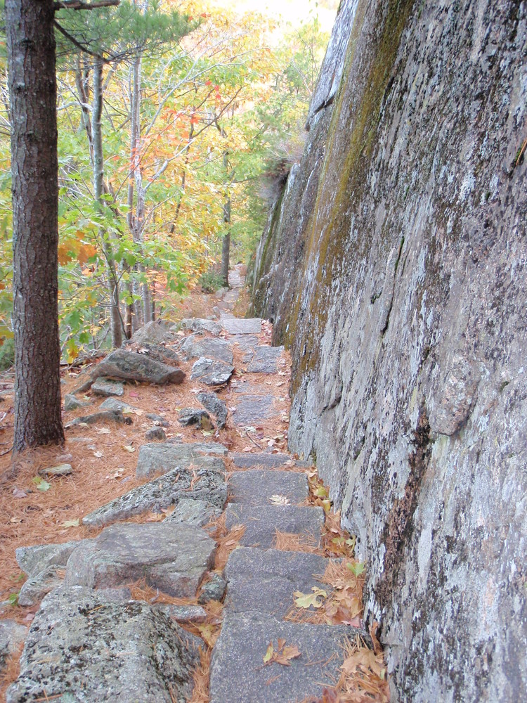 Stone path along the Ladder Trail. (Credit: National Park Service)