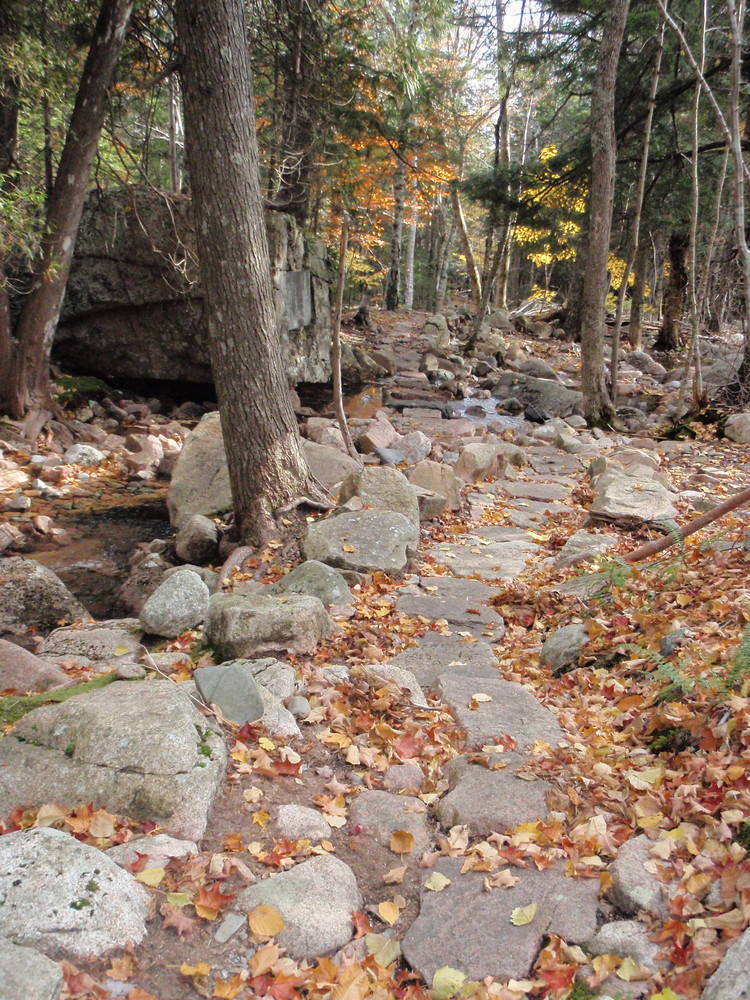 Stone Path (Credit: National Park Service)