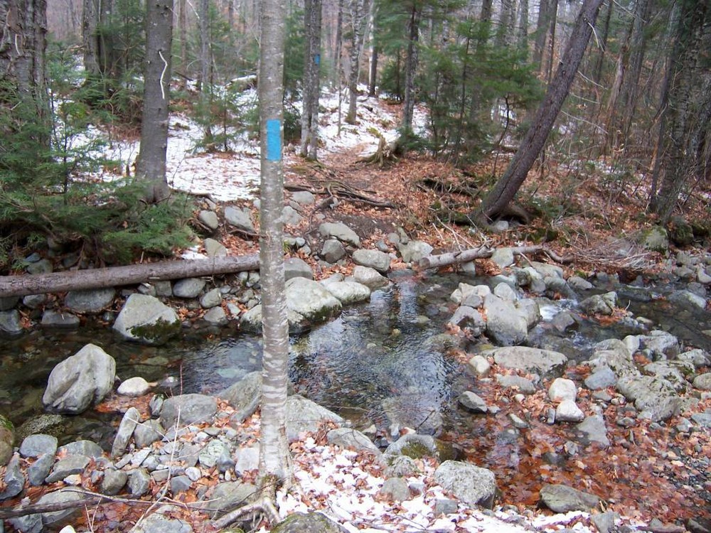 One of the Safford Brook Crossings (Credit: Maine Appalachian Trail Club)