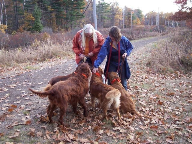 Hiking with Dogs (Credit: Kennebec Messalonskee Trails)
