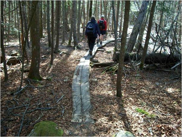 Trail (Credit: Maine Bureau of Parks and Lands)