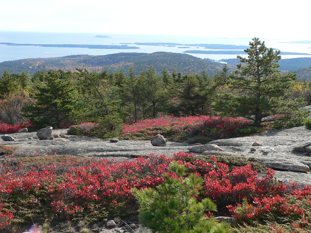 Views from Champlain South Ridge Trail (Credit: National Park Service)
