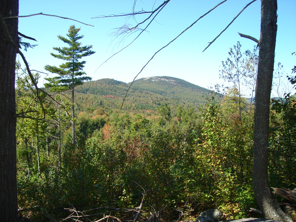 View of Great Pond Mountain from Esker Path (Credit: Great Pond Mountain Conservation Trust)