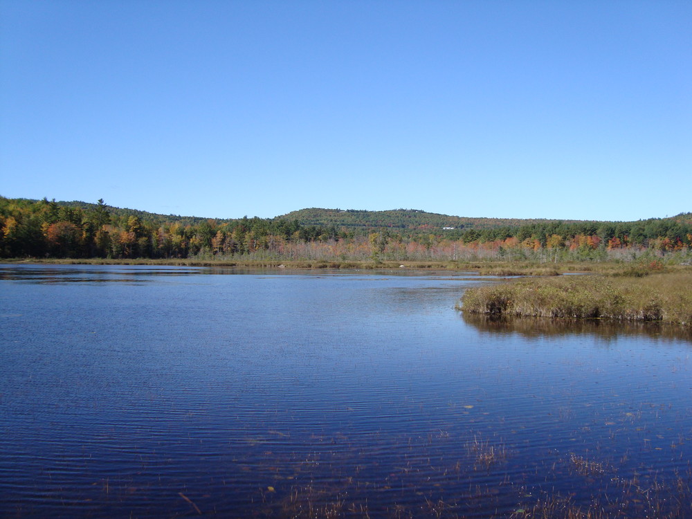 View of Holt Pond (Credit: Lakes Environmental Association)