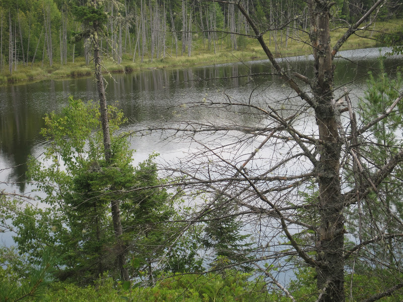 Woodman Pond from the Trail (Credit: Bill Geller)