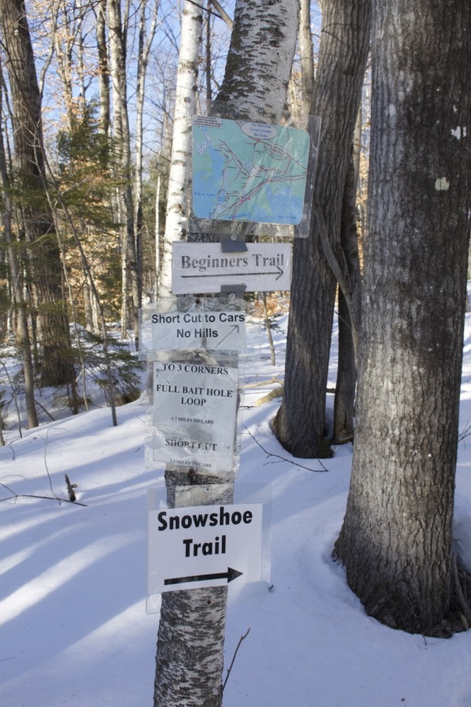 Signs lead the way  (Credit: Bangor Daily News )