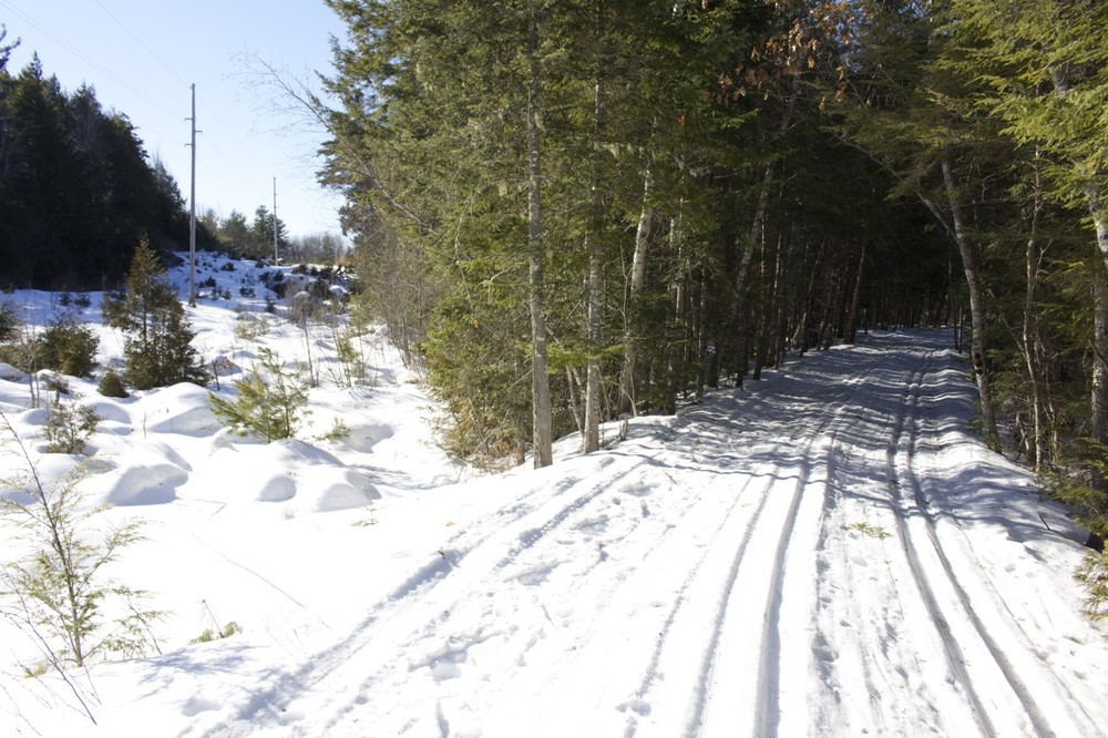Well groomed trails in the winter (Credit: Bangor Daily News )