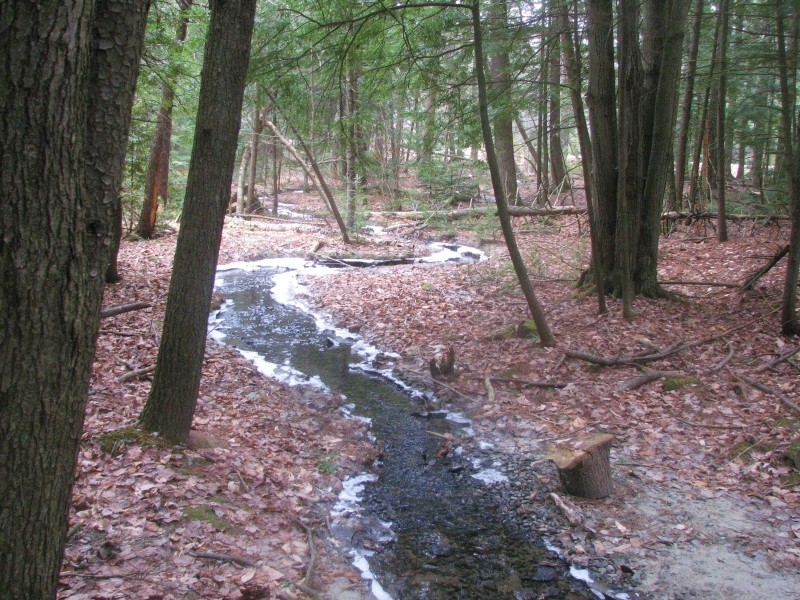Stream along the trail (Credit: Jill Howell)