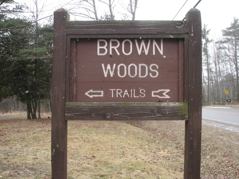 Welcome to Brown Woods (Credit: Jill Howell)