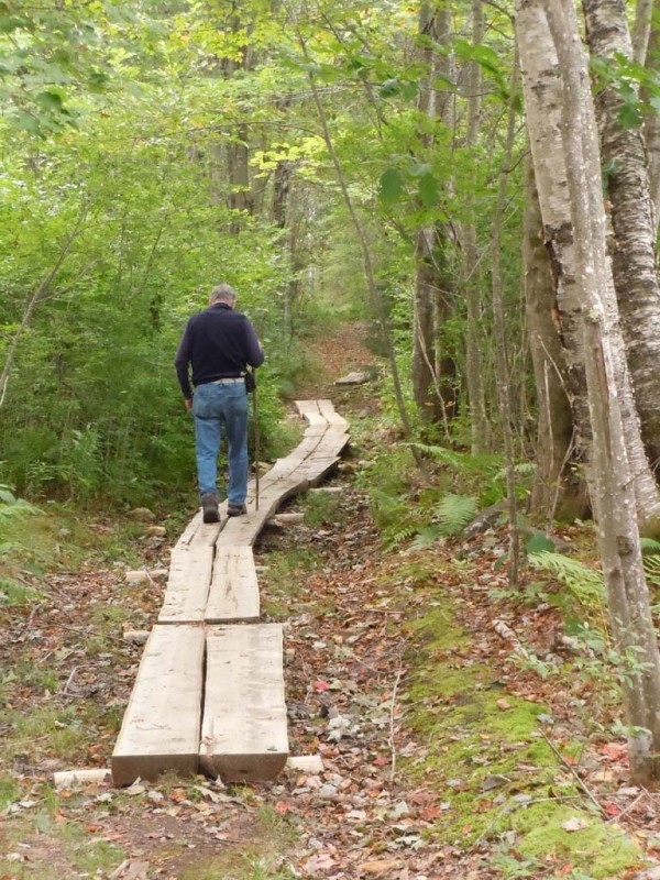 Bridging along the bog trail (Credit: Friends of Sears Island)