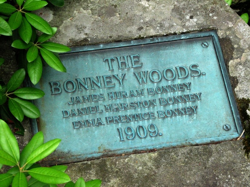 Plaque commemorating the initial donation and founding of Bonney Woods. (Credit: Joel Alex)