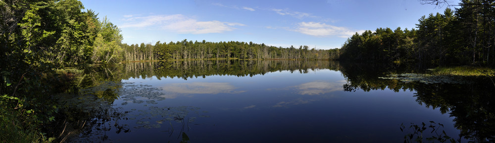 chaffin pond (Credit: mike kennedy)