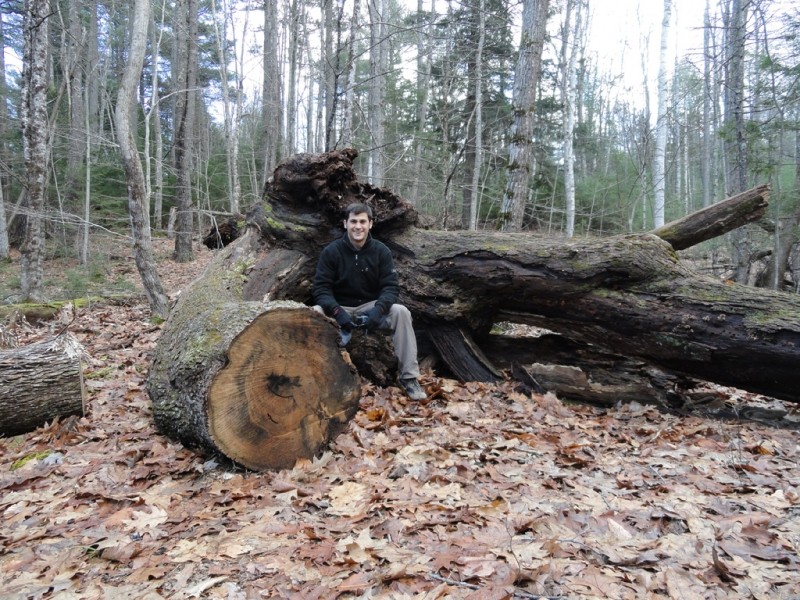 Fallen tree at the intersection of Ravine and Hardwood Slope Trails (Credit: Center for Community GIS)