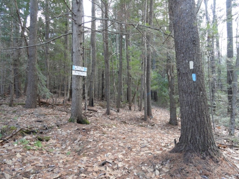 Intersection of all three trails (Credit: Center for Community GIS)