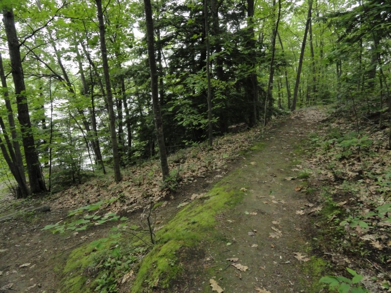 Riverside Trail (Credit: Center for Community GIS)