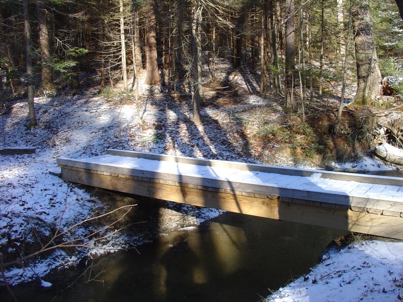 Access bridge over Wonder Brook (Credit: Center for Community GIS)