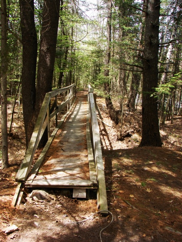 Hawkes Preserve Maine Trail Finder
