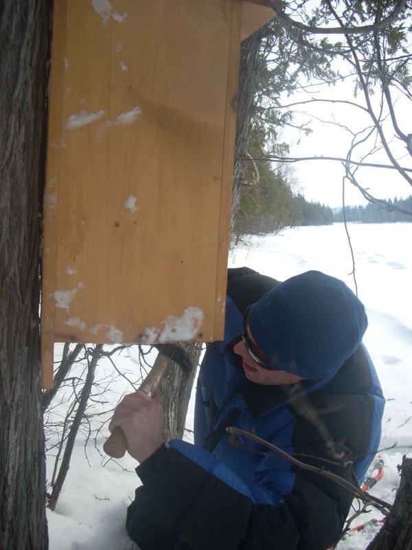 A duck box is installed in the winter to provide habitat for and encourage wildlife (Credit: Shelby Rousseau)