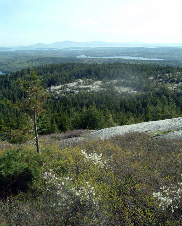 View towards the Coast (Credit: Maine Bureau of Parks and Lands)