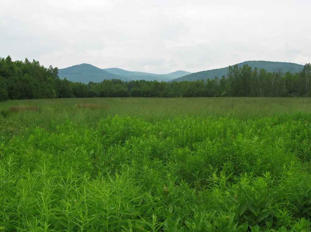 Foothills Land Conservancy Maine Trail Finder