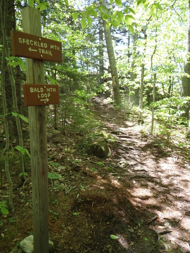 Trail marker, beginning of loop trail (Credit: Robert Ratford)