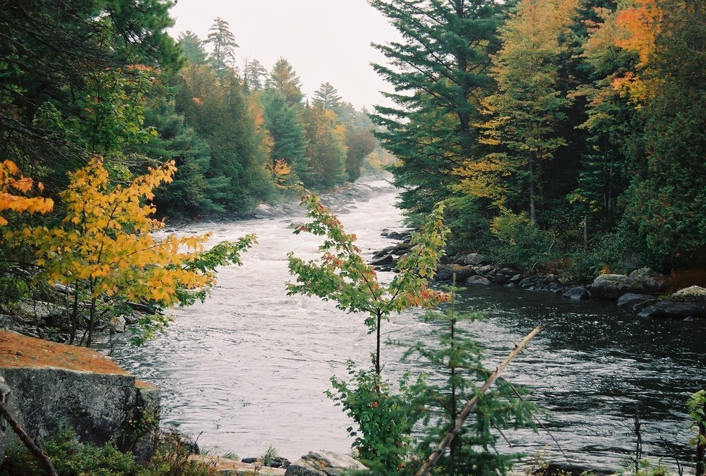 Upstream from Smooth Ledge (Credit: Rangeley Lakes Heritage Trust)