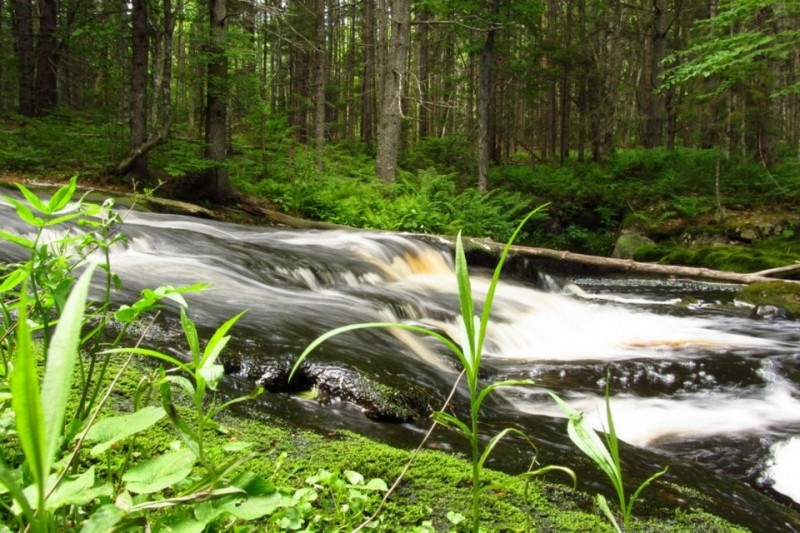 Goose River Peace Corps Preserve Maine Trail Finder