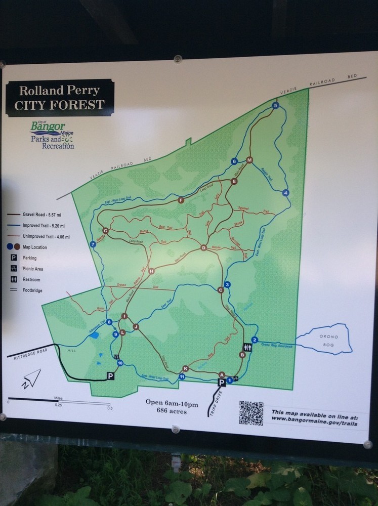 New trail maps are scattered throughout the forest to help you find your way (Credit: N. Grohoski)