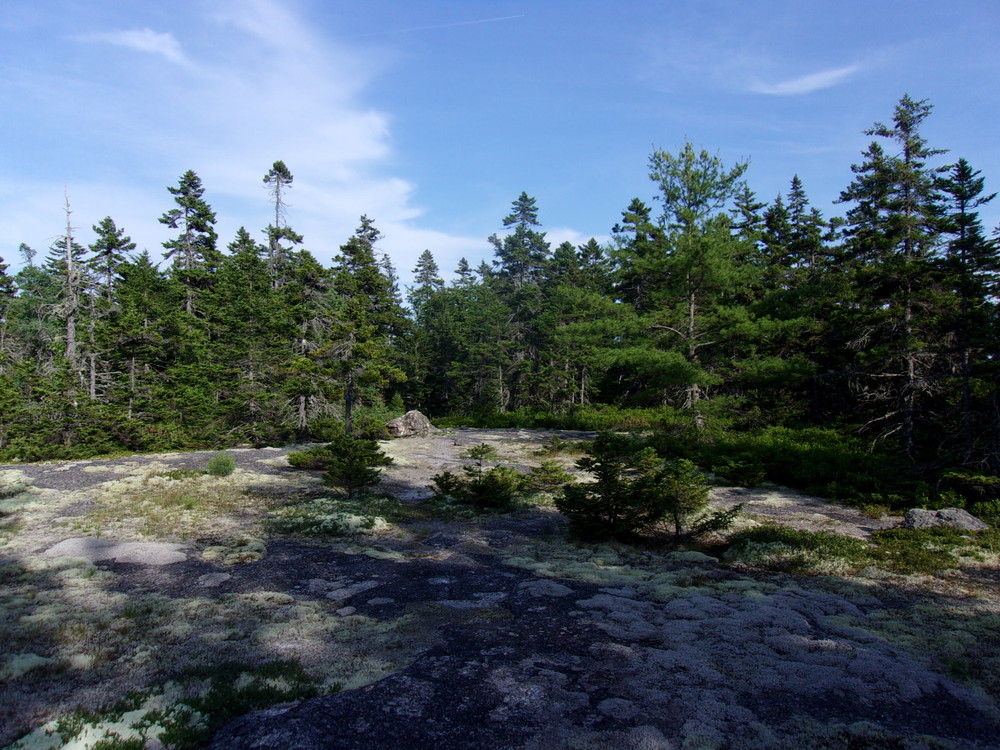 Amherst Mountains Community Forest Bald Bluff Maine Trail Finder