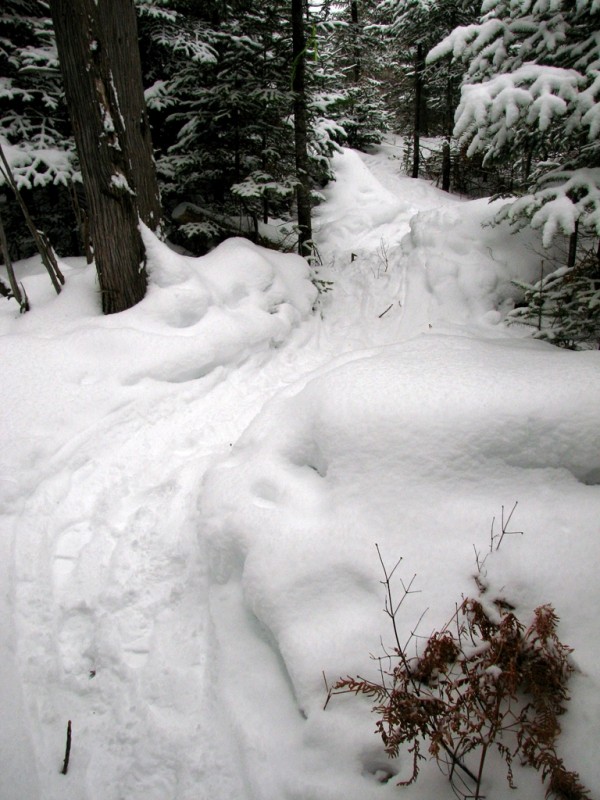 Easy to Follow Trails even in Deep Snow (Credit: Ken Gross)