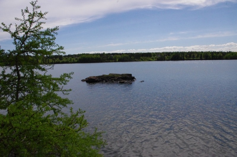Hersey Point Preserve Maine Trail Finder
