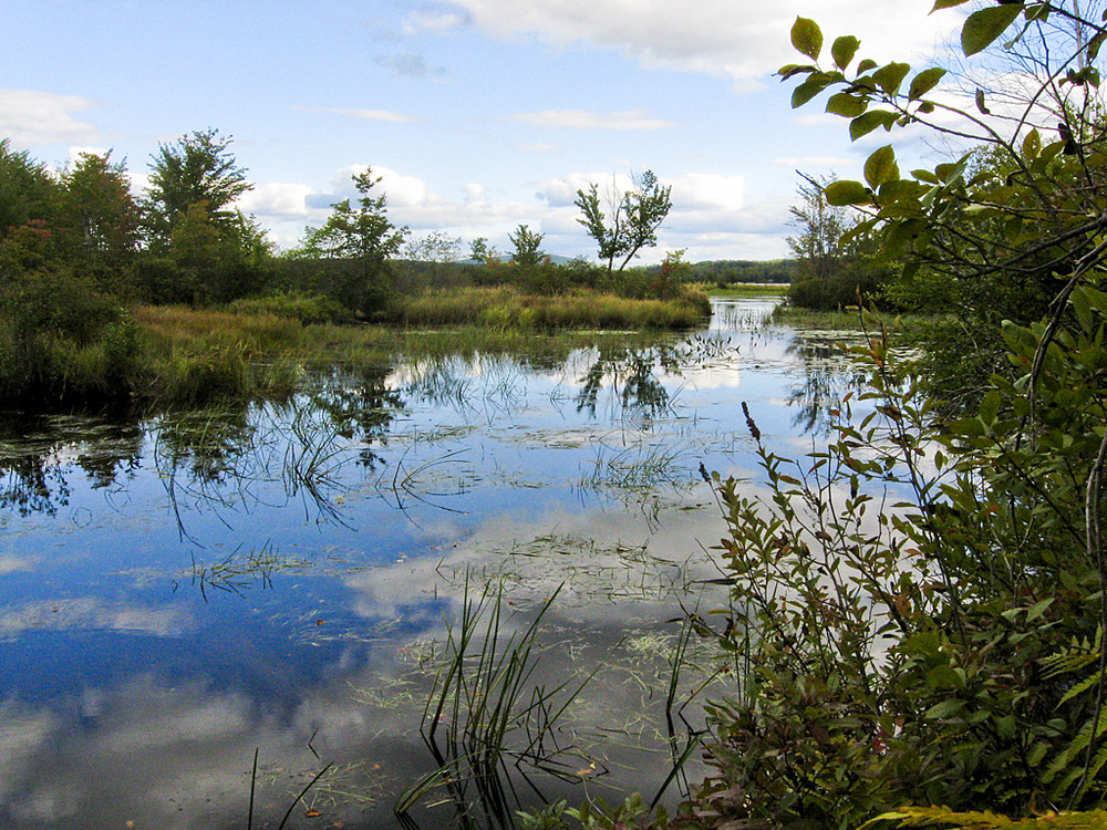 Foothills Land Conservancy Maine Trail Finder