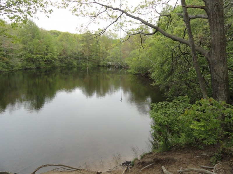 Looking out over the lower pond (Credit: Center for Community GIS)