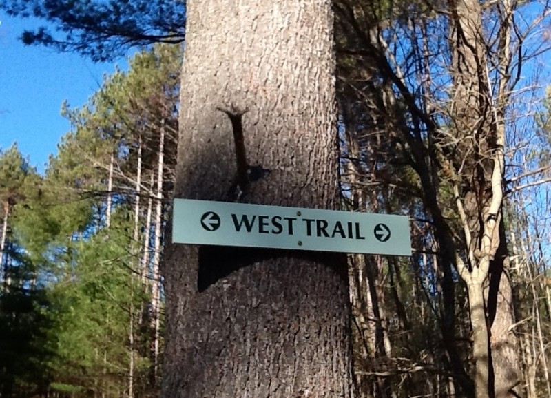 Signage for the West Trail as it heads across the Access Road (Credit: Karen McCann)