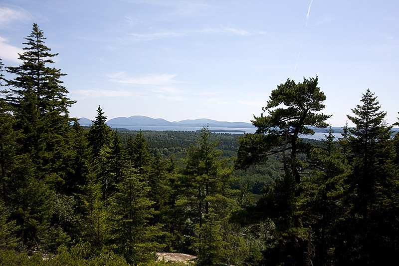 View from Tucker Mountain (Credit: Kelly Bellis)