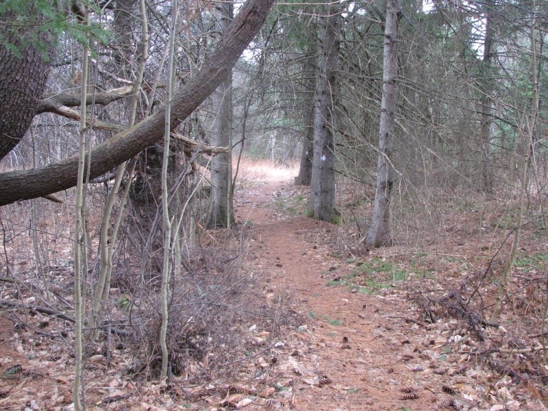 The main trail (Credit: Center for Community GIS)