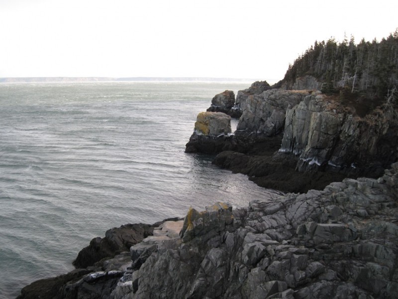 View along newly completed Coast Guard Trail (Credit: Maine Bureau of Parks and Lands)